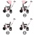 AXEL Charmy Pink Tricycle