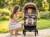 WOZEK-SPACEROWY-lekki-skladany-SPACEROWKA-do-22kg-Kidwell-Tevo-BEZOWY-Szerokosc-produktu-po-zlozeniu-48-cm.jpg